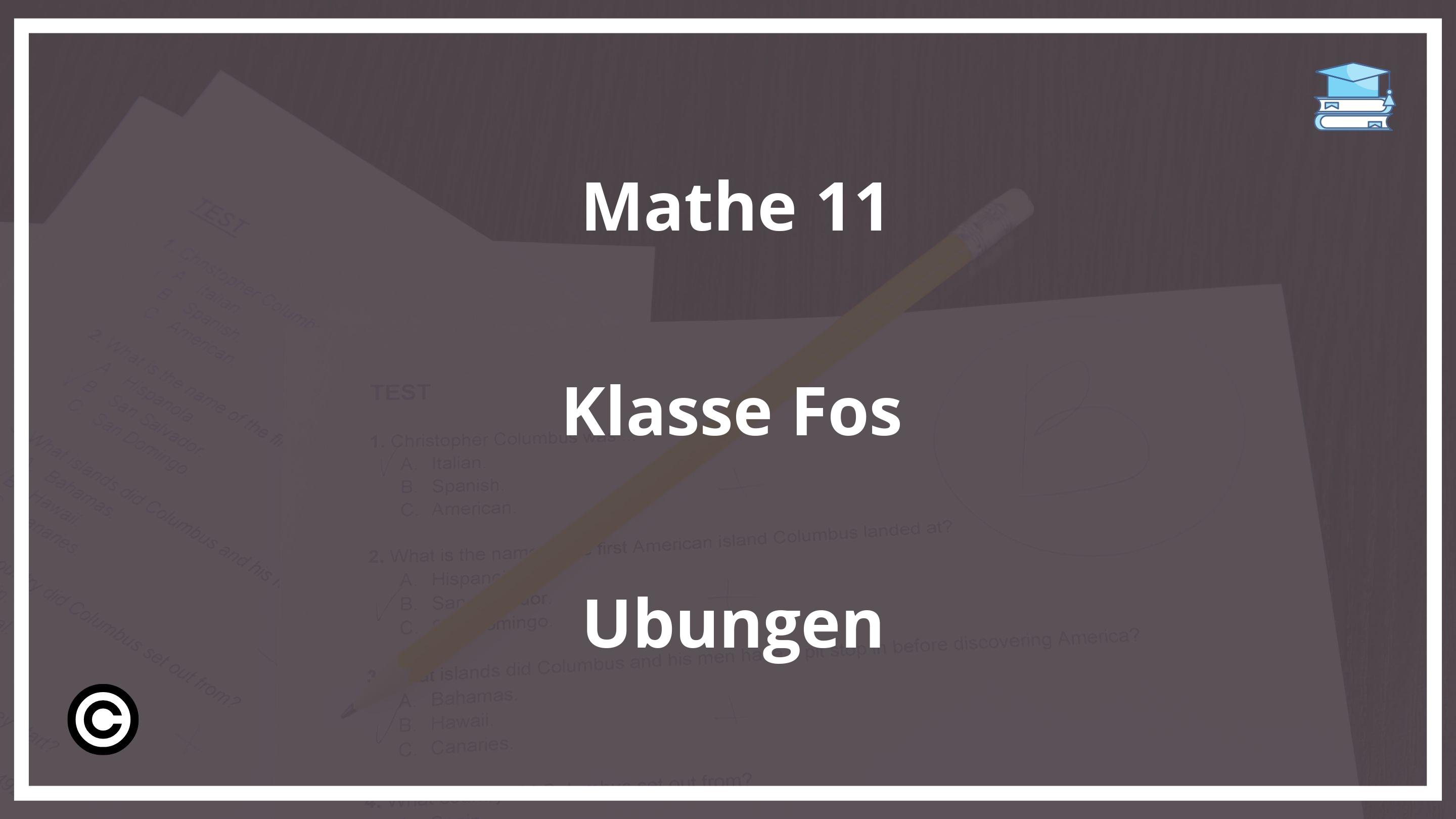 Mathe 11 Klasse Fos Übungen PDF