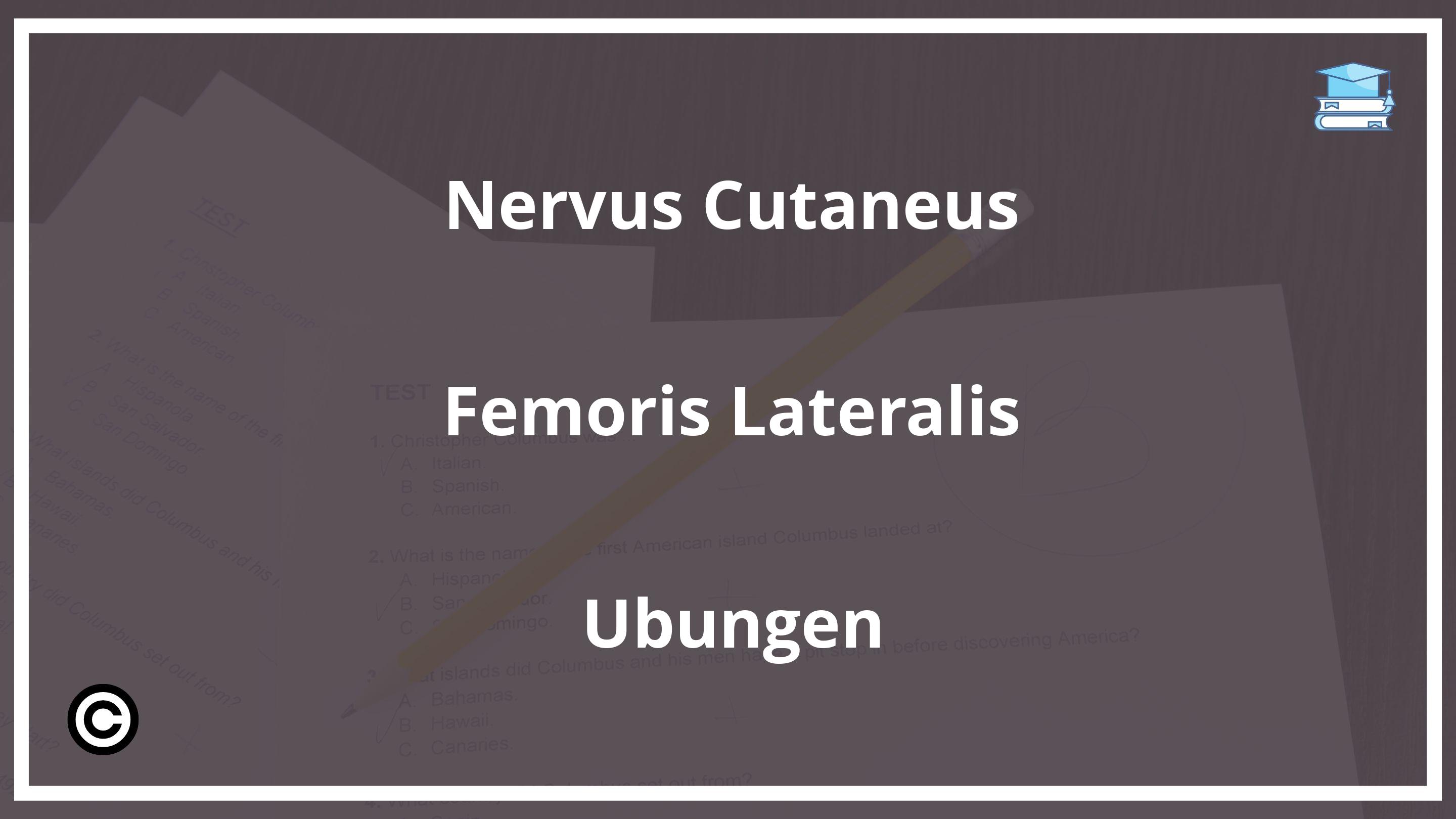 Nervus Cutaneus Femoris Lateralis Übungen PDF